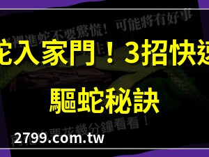家裡來蛇
